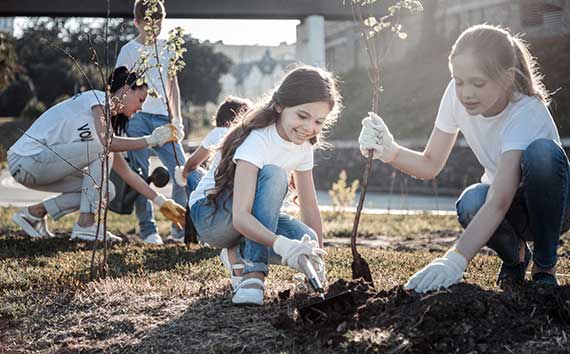 Tree-Planting Offsets Children Planting Methods