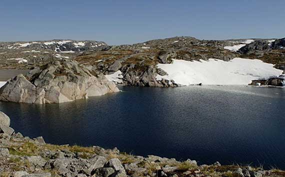 Permafrost Thaw Photo