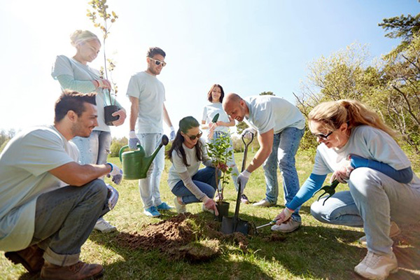 Environmental Group Plants Treet to Help Offset Carbons