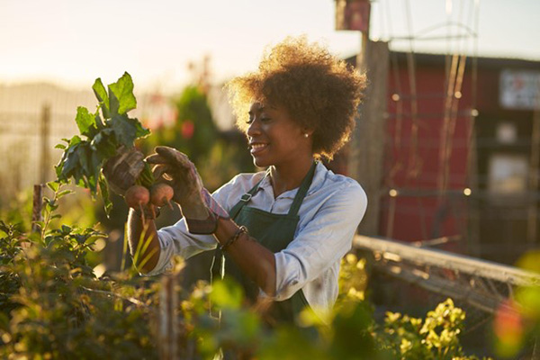 Sustainability Gardening