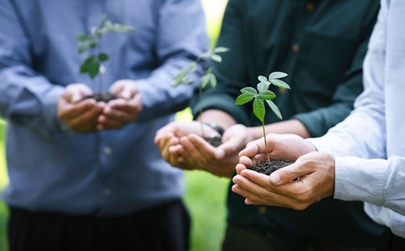 Preventing Greenhouse Emissions per Planting New Growth Images of Plants Being Held